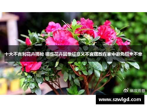十大不吉利花卉揭秘 哪些花卉因象征意义不宜摆放在家中避免招来不幸