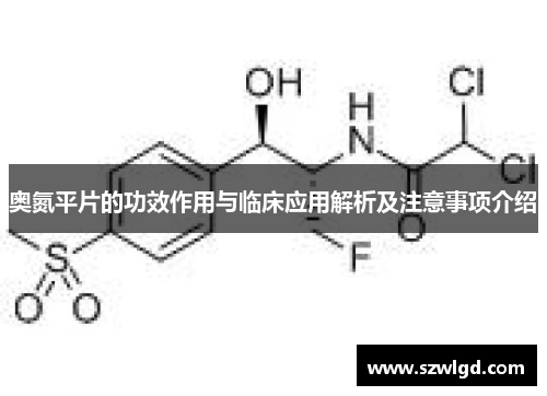 奥氮平片的功效作用与临床应用解析及注意事项介绍