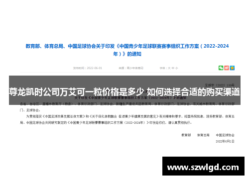 尊龙凯时公司万艾可一粒价格是多少 如何选择合适的购买渠道