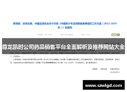 尊龙凯时公司药品销售平台全面解析及推荐网站大全